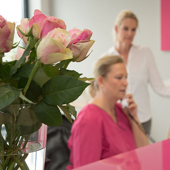 Rosen am Empfang der Frauenärztin Dr. Ulrike Vahl